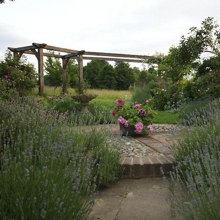 Thatched Cottage B&B Hever Dış mekan fotoğraf