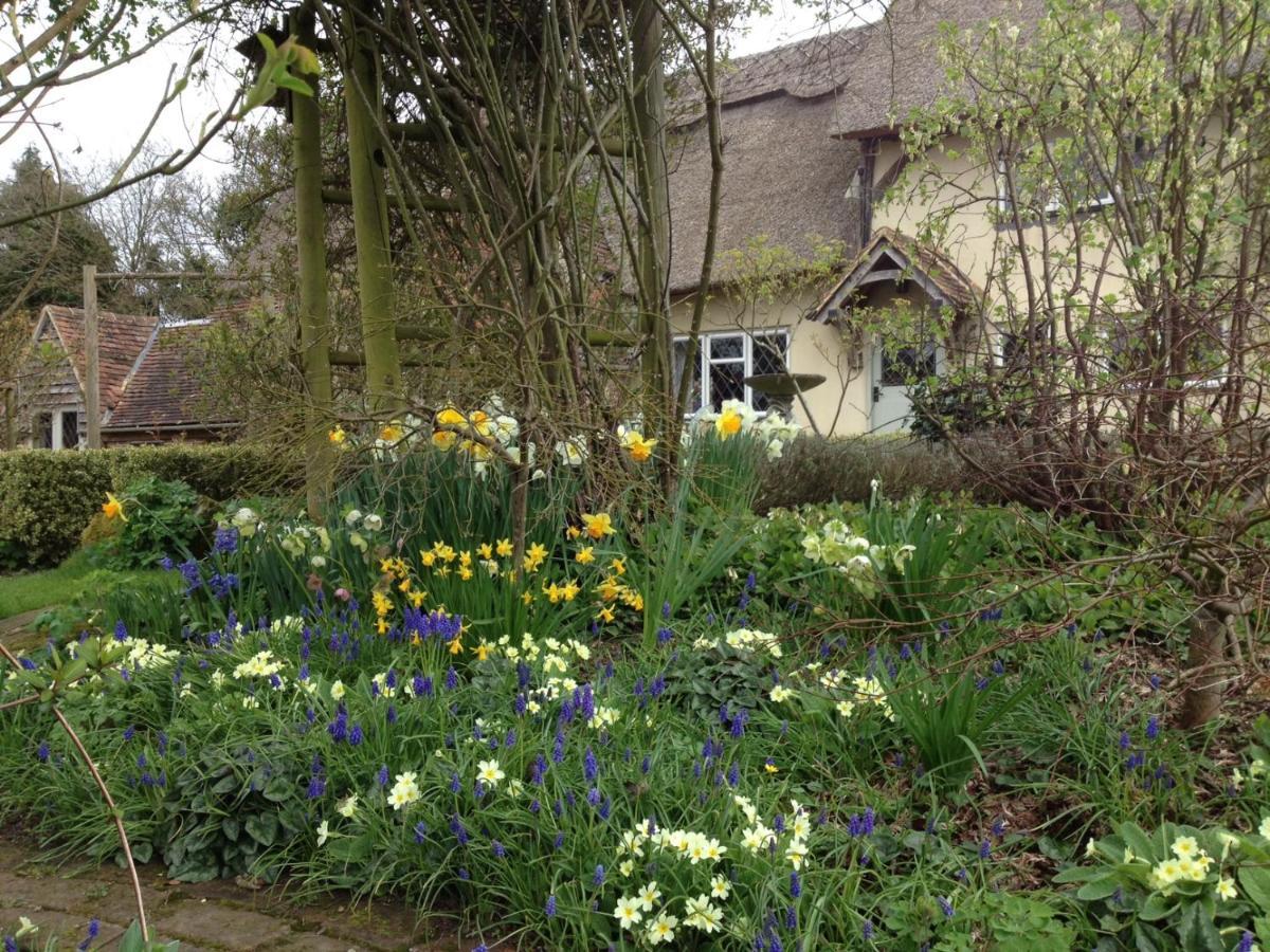 Thatched Cottage B&B Hever Dış mekan fotoğraf