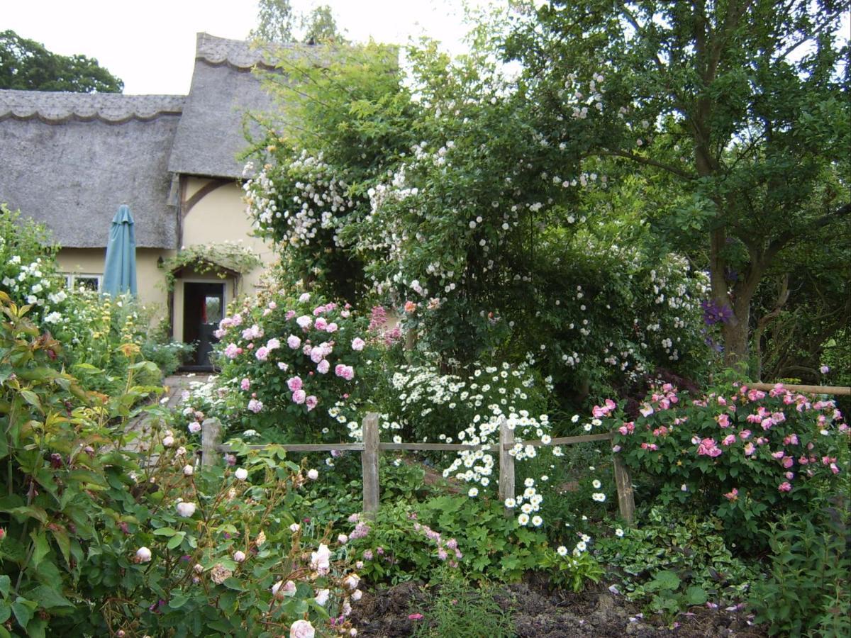 Thatched Cottage B&B Hever Dış mekan fotoğraf