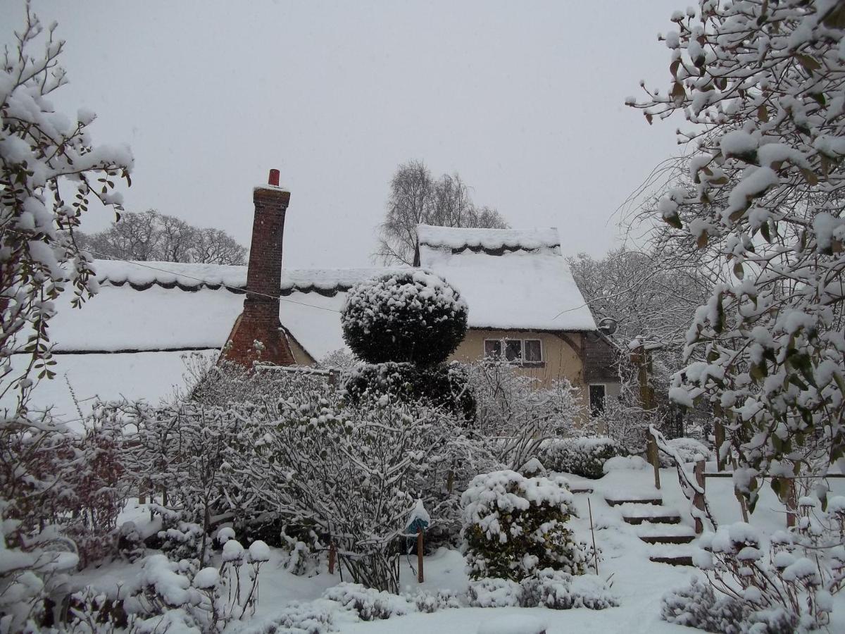 Thatched Cottage B&B Hever Dış mekan fotoğraf