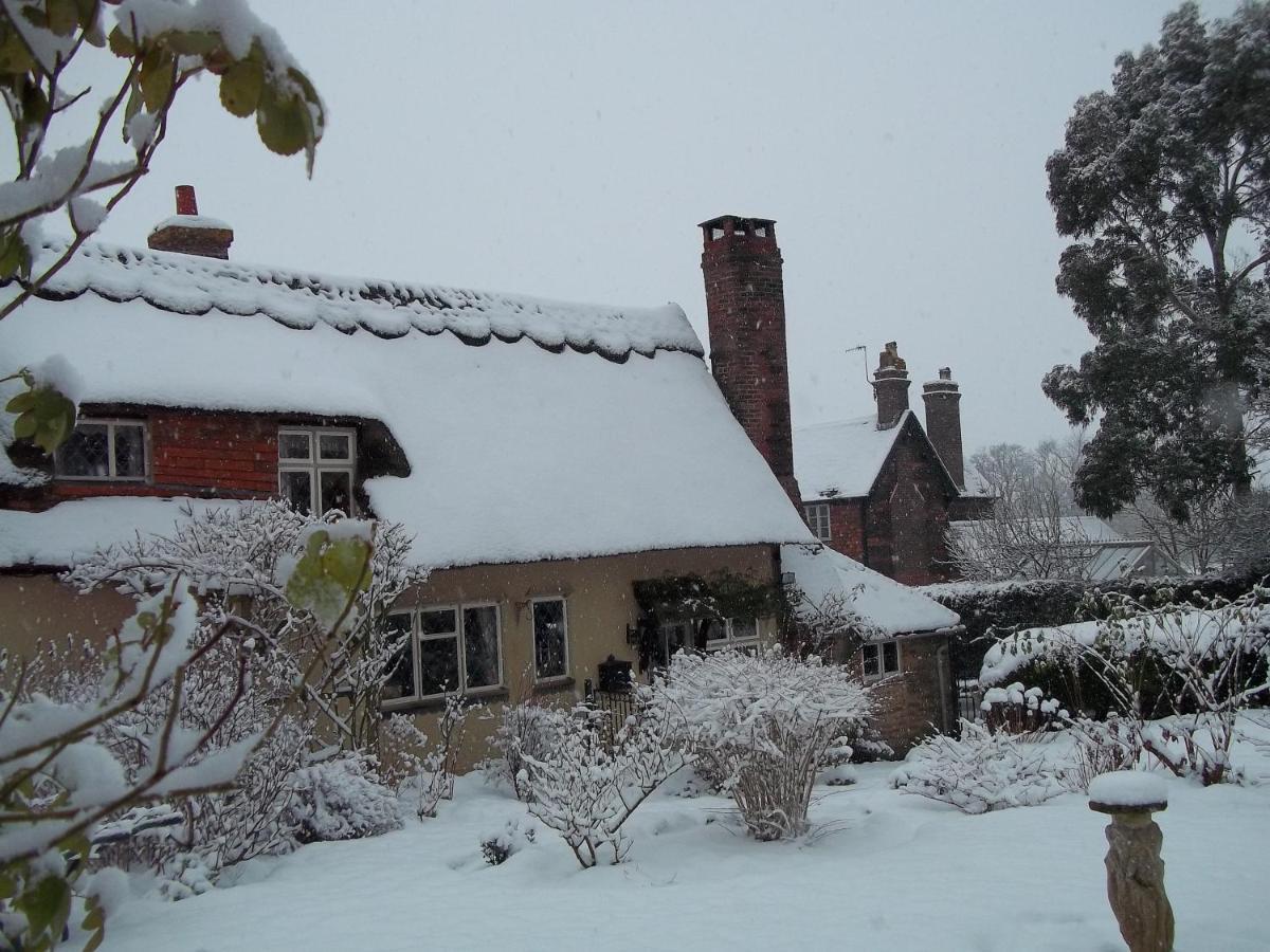 Thatched Cottage B&B Hever Dış mekan fotoğraf