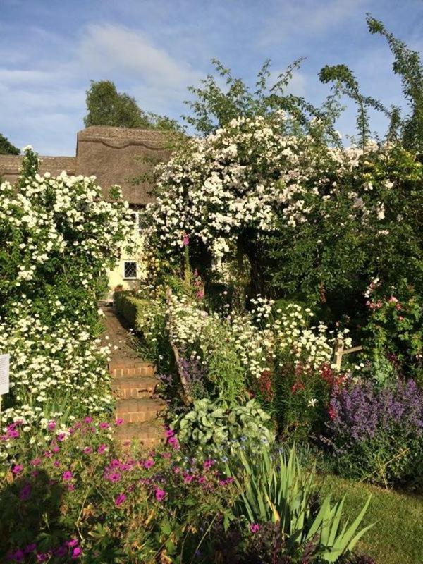 Thatched Cottage B&B Hever Dış mekan fotoğraf