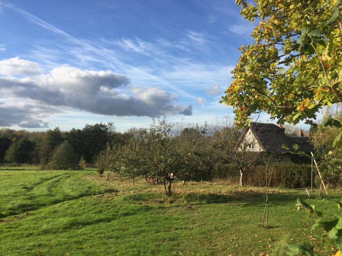 Thatched Cottage B&B Hever Dış mekan fotoğraf